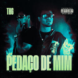 Pedaço de Mim
