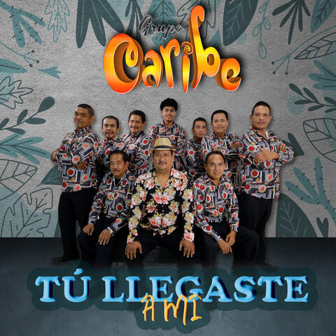 Tú Llegaste a Mi