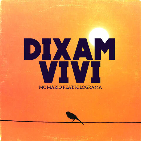 Dixam Vivi