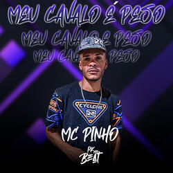 Meu Cavalo É Peso
