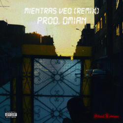 Mientras Veo
