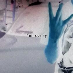 I'm Sorry