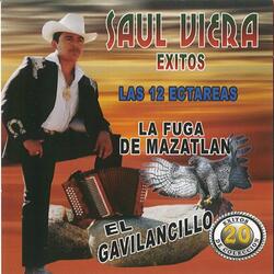 Luis Pulido