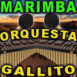 Curado De Calcetin