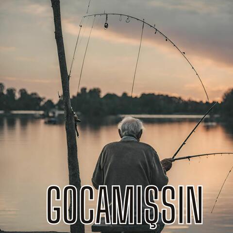 Gocamışsın