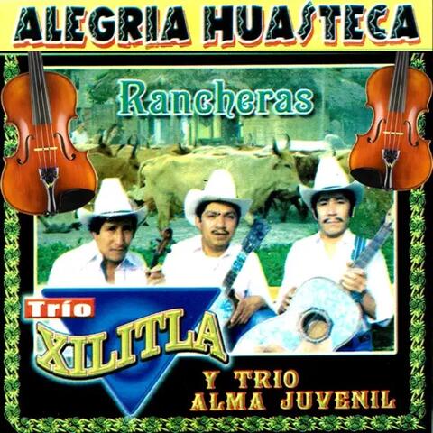 Alegria Huasteca