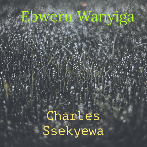 Ebweru Wanyiga
