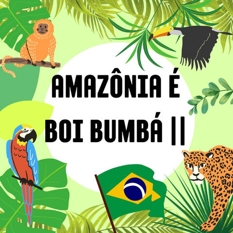 Amazônia É Boi Bumbá Ii