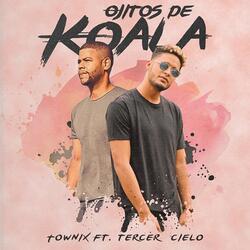 Ojitos de Koala
