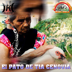 El Pato de Tia Cenovia