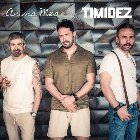 Timidez