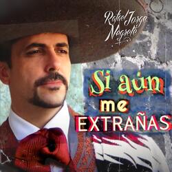Si Aún Me Extrañas