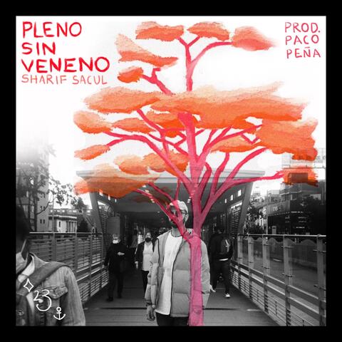 Pleno Sin Veneno