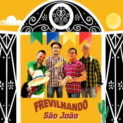 Pau de Arara/ Um Xodó/Saudade de D'ocê/Asa Branca