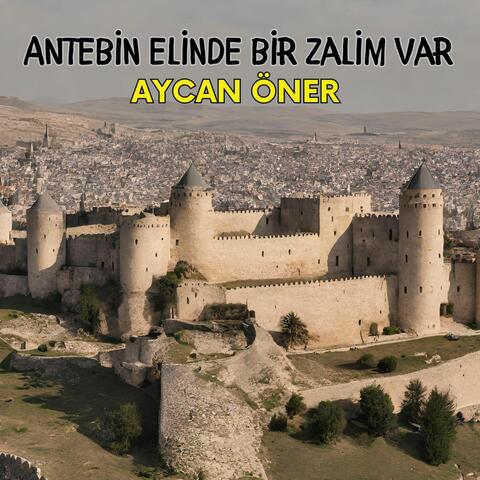 Antebin Elinde Bir Zalim Var