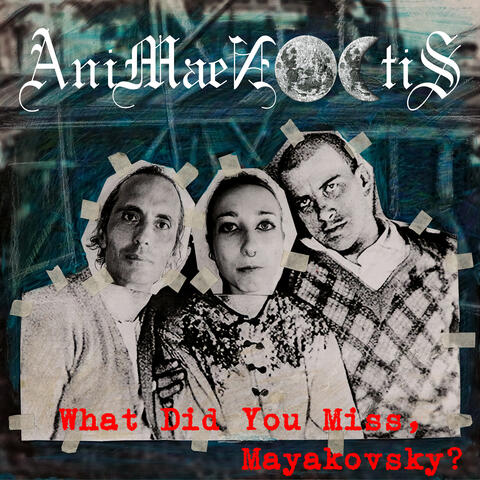 What Did You Miss, Mayakovsky?