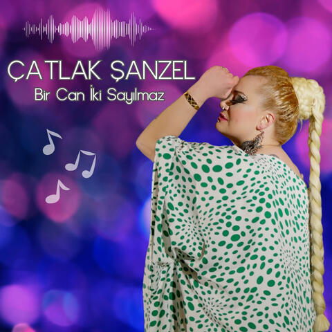 Bir Can İki Sayılamaz