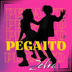Pegaito Zebra