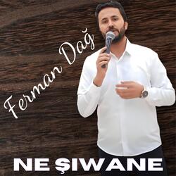 Ne şıwane