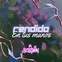 Rendido en Tus Manos