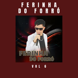 Por Isso Eu Vou Voar Voar