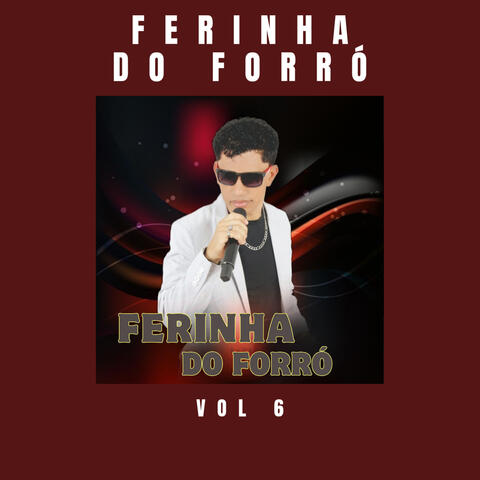 Ferinha do Forró, Vol 6