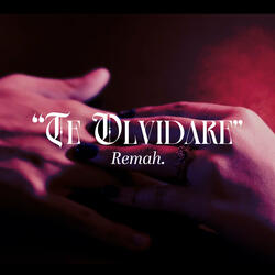 Te Olvidare
