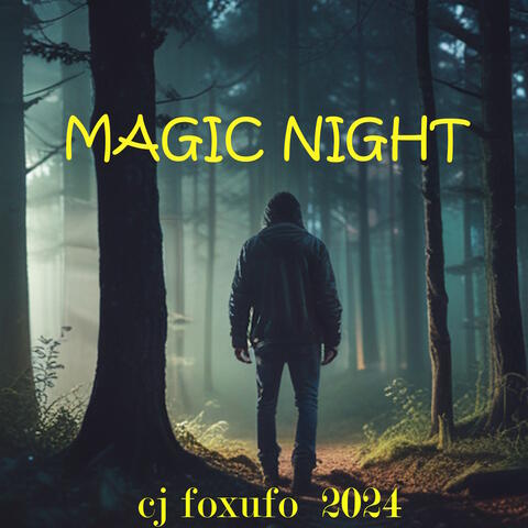 Magic Night