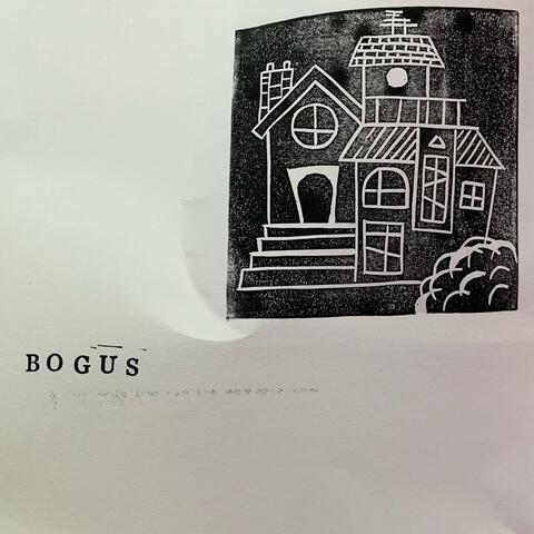 Bogus