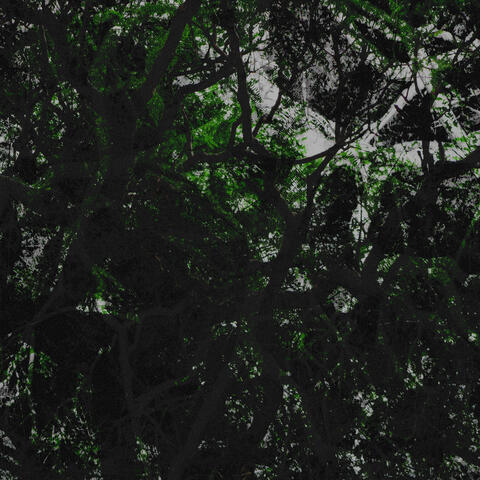 Rejeite a Modernidade