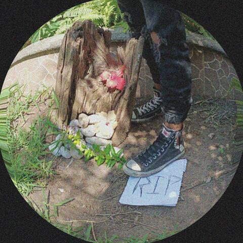 F L O R E S