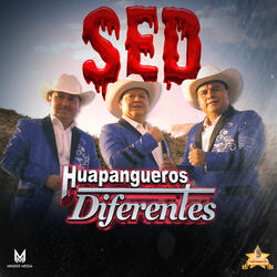Sed