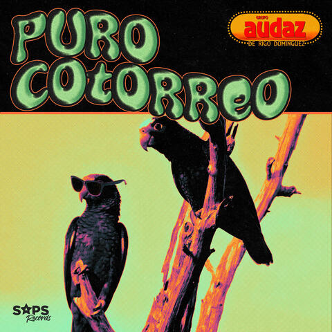 Puro Cotorreo