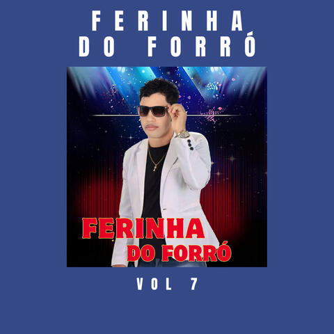 Ferinha do Forró, Vol 7