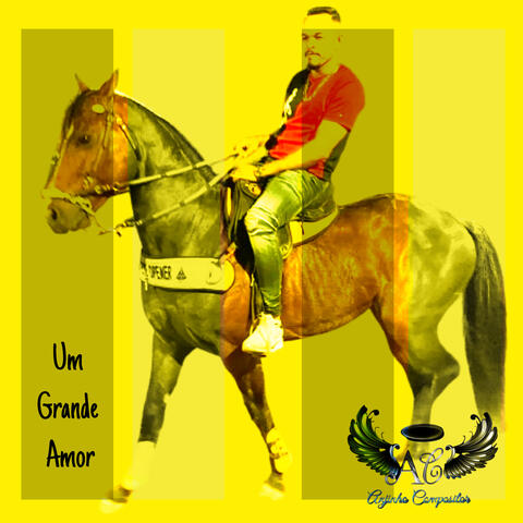 Um Grande Amor 2
