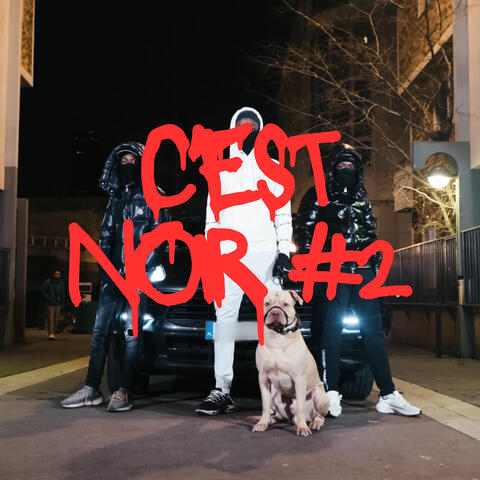 C'est noir #2