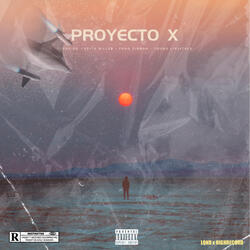 Proyecto X