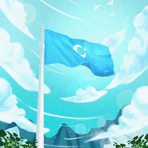 Qashin Qara