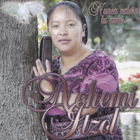 Nunca Valore Tu Amor