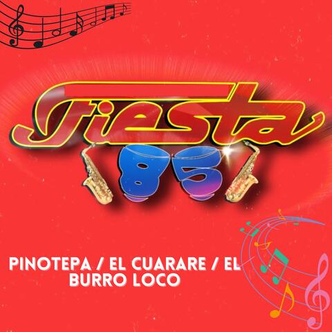 Pinotepa / El Cuarare / El Burro Loco