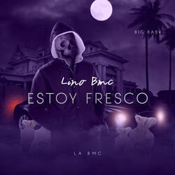 Estoy Fresco