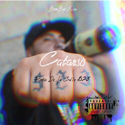Catarsis