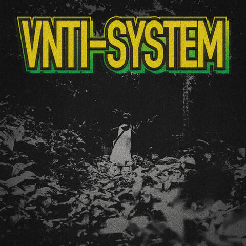 VNTI-SYSTEM