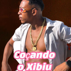 Coçando o Xibiu