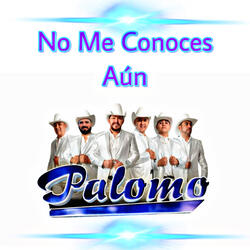 No Me Conoces Aún