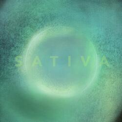 Sativa