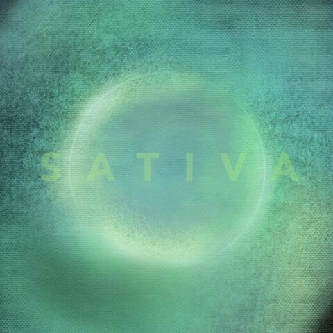 Sativa