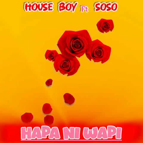 Hapa Ni Wapi