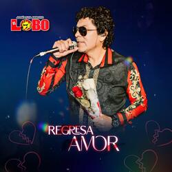 Regresa Amor