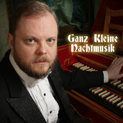 Ganz Kleine Nachtmusik